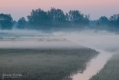 007_Biebrza - kwiecien 2012
